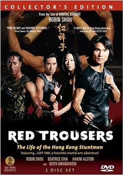 红裤子：香港特技打仔的生活在线观看和下载