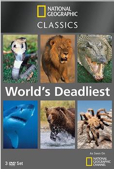 世界致命动物系列：亚马逊河篇在线观看和下载