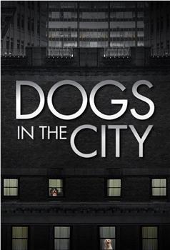 狗狗在都市 第一季在线观看和下载
