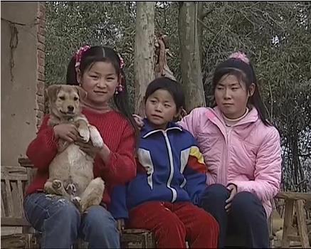 大地的拂晓：中国农村少女和丰田的10年在线观看和下载