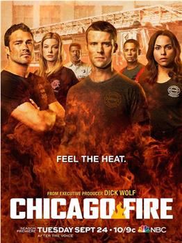 芝加哥烈焰 第二季在线观看和下载