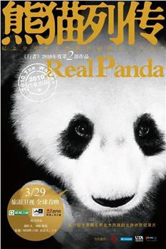 熊猫列传在线观看和下载