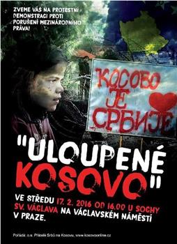 被盗的国土:科索沃在线观看和下载