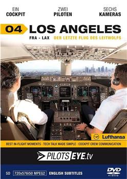 飞行员之眼：洛杉矶在线观看和下载