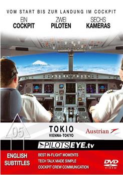 飞行员之眼：东京在线观看和下载