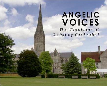 天使的声音 - 索尔兹伯里大教堂唱诗班在线观看和下载