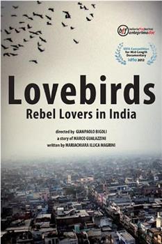 爱情鸟：反叛的印度情侣们在线观看和下载