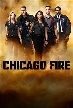 芝加哥烈焰 第六季在线观看和下载