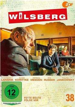 Wilsberg在线观看和下载