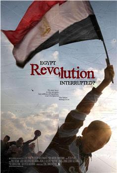 解放广场：埃及未完成革命的18天在线观看和下载
