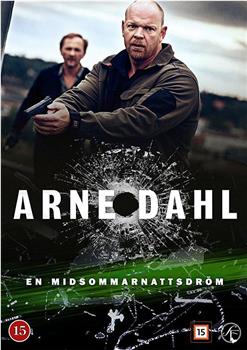 Arne Dahl: En midsommarnattsdröm在线观看和下载