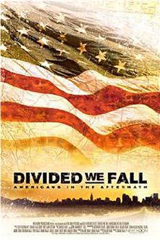 Divided We Fall: Americans in the Aftermath在线观看和下载