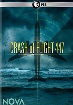 PBS NOVA: Crash of Flight 447在线观看和下载