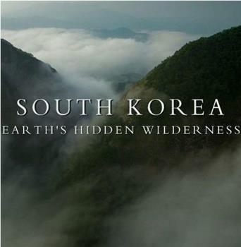韩国：地球的隐秘荒野在线观看和下载
