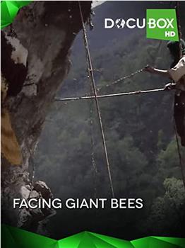 Facing the Giant Bees在线观看和下载