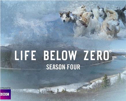零度以下的生活 第四季在线观看和下载