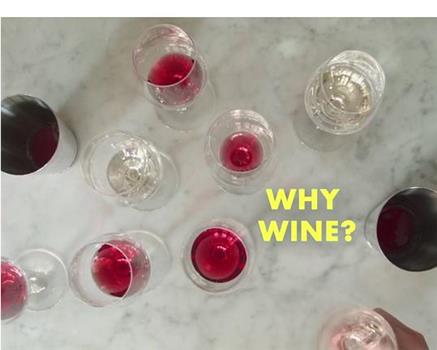 Why Wine?在线观看和下载