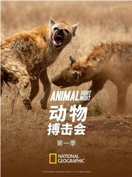 动物搏击会 第一季在线观看和下载