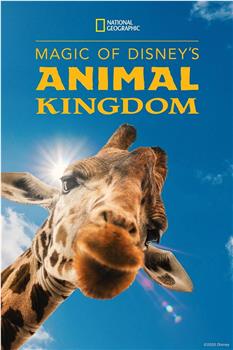 迪士尼动物王国 第一季在线观看和下载