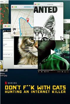 别惹猫咪：追捕虐猫者在线观看和下载