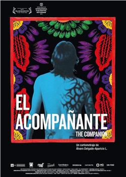 El acompañante在线观看和下载