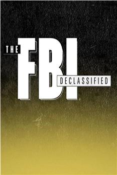 FBI解密 第一季在线观看和下载