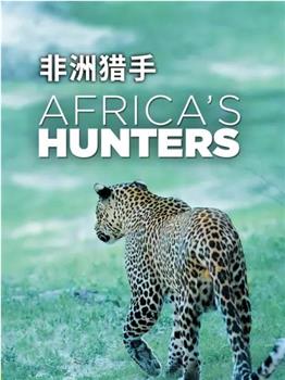 非洲猎手们 第一季在线观看和下载