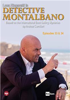 蒙塔巴诺督查 第十三季在线观看和下载