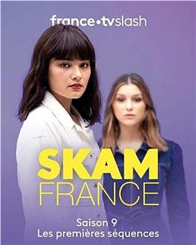 羞耻 法国版 第九季在线观看和下载