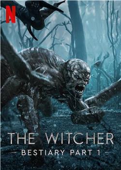 猎魔人怪物手册 第一季在线观看和下载
