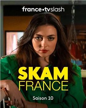 羞耻 法国版 第十季在线观看和下载