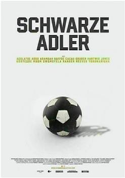 Schwarze Adler在线观看和下载