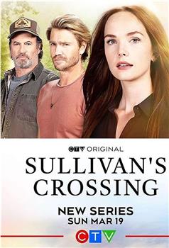 Sullivan's Crossing Season 1在线观看和下载