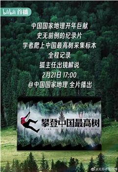 攀登中国最高树在线观看和下载