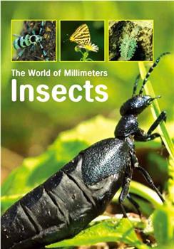 昆虫：微观世界在线观看和下载