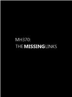 MH370：缺失的环节