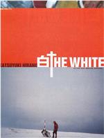 白 THE WHITE