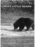 忙碌的小熊