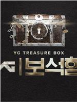 YG 宝石盒